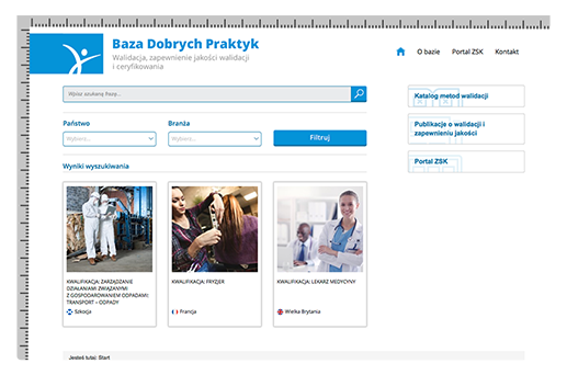 Portfolio Sidnet Instytut Badań Edukacyjnych Projekt graficzny