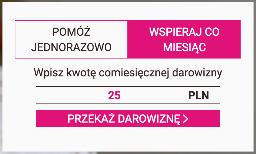 Portfolio Sidnet mali bracia Ubogich Płatności PayU